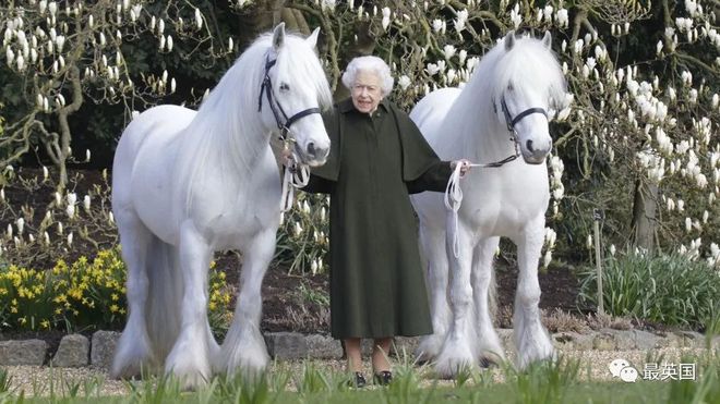 英女王96岁大寿，独自低调庆生！永远悲喜不惊永远淡定隐忍，笑容温暖了多少人…